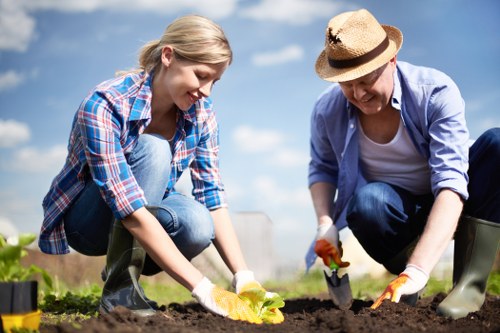Tree inspection and canopy care in a city environment