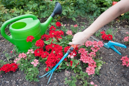 Supplier compliance audit paperwork for arborist services