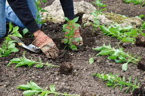 PCI-compliant payment handling for Bermondsey tree surgery customers