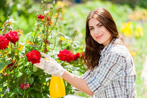 Arborist equipment and safe tree maintenance planning