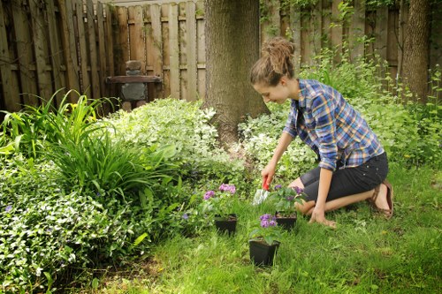 Local hedge maintenance beside a boundary fence in Bermondsey