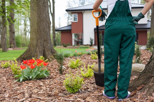 Bermondsey tree surgeons providing expert urban tree maintenance