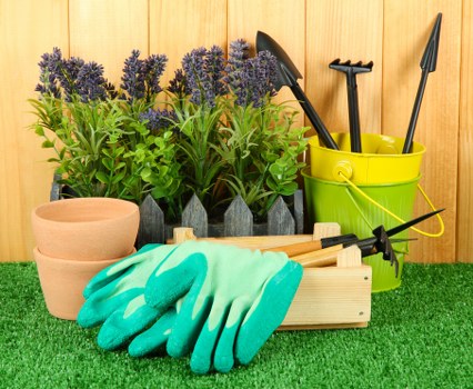 Inclusive online access for Bermondsey tree surgery services